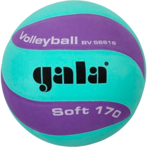 Мяч волейбольный Gala Soft 170 №5 Green-Purple (BV5681SCF) в Днепре