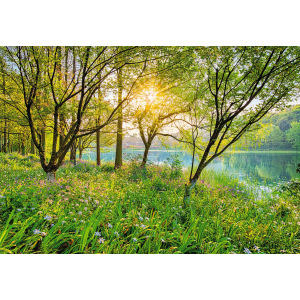 Фотообои бумажные Komar Spring Lake (Весеннее озеро NG) 368х254 см (8-524) лучшая модель в Днепре