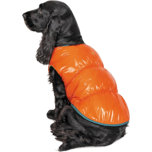 Жилет Pet Fashion "SPRING" для собак розмір XL, Помаранчевий (4823082420506) ТОП в Дніпрі