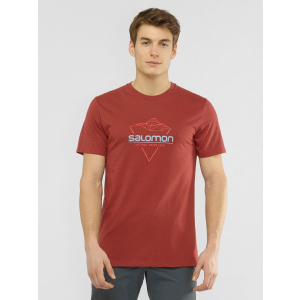 Футболка Salomon Blend Logo Tee M LC1408500 S Коричнева (0193128345792) в Дніпрі