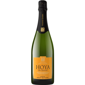 Вино игристое Hoya de Cadenas Cava Brut Nature белое брют 0.75 л 11.5% (8410310605994) лучшая модель в Днепре