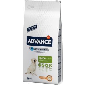 Cухой корм для собак Advance Dog Maxi Junior для молодых собак крупных пород с курицей и рисом 14 кг (8410650235400)