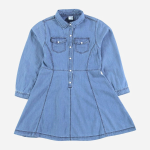 Сукня джинсова з довгими рукавами Piazza Italia 70029 172 см Denim (2070029001089) ТОП в Дніпрі