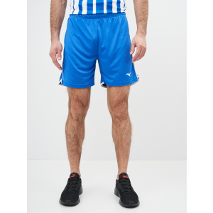 Спортивні шорти Mizuno High-Kyu Short V2EB700122 L (5054698344941) в Дніпрі