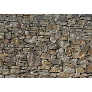 Фотошпалери флізелінові Komar Stone Wall (Кам'яна стіна) 368х254 см 8 сегментів (8NW-727) ТОП в Дніпрі