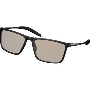 Окуляри комп'ютерні 2E Gaming Anti-blue Glasses Black-Black (2E-GLS310BK) ТОП в Дніпрі