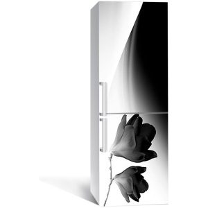 Вінілова 3D наклейка на холодильник Zatarga Мінімалізм та магнолія 650х2000 мм (Z180948re) краща модель в Дніпрі