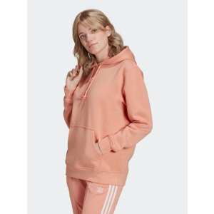 Худі Adidas Hoodie H34724 XS Amblus (4064055536026) ТОП в Дніпрі