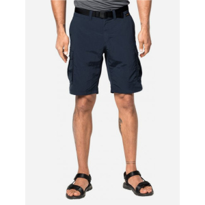 Шорти Jack Wolfskin Canyon Cargo Shorts 1504201-1010 50 (4055001473182) краща модель в Дніпрі