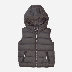 Жилет Minoti 7BGILET 9 34601JNR 110-116 см Темно-серый (5059030593988) в Днепре