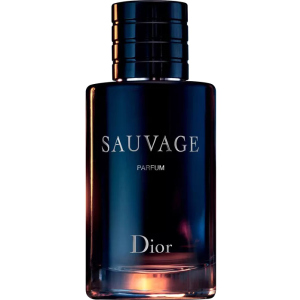 Духи для чоловіків Christian Dior Sauvage 2019 100 мл (ROZ6400103807) краща модель в Дніпрі