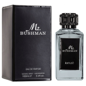 Парфюмированная вода для мужчин La Muse Mr.Bushman аналог Mr.Burberry 100 мл (6291106067255) ТОП в Днепре