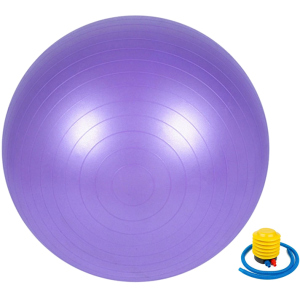 М'яч для фітнесу Newt 65 см Фіолетовий (487-626-1-V) в Дніпрі