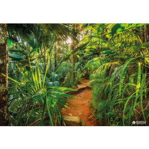 Фотообои бумажные Komar Jungle Trail 368х254 см 8 сегментов (8-989) в Днепре