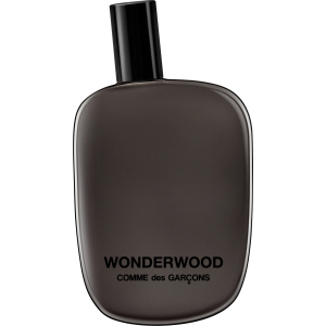 Тестер Парфюмированная вода унисекс Comme Des Garcons Wonderwood 100 мл (8411061707838) лучшая модель в Днепре