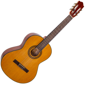 Гітара класична Alfabeto SAPELE CS39G + bag (17-2-40-3) ТОП в Дніпрі