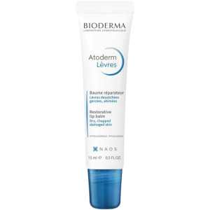 Бальзам для губ Bioderma Atoderm Levres 15 мл (3701129801000) ТОП в Дніпрі