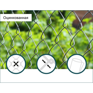 Сітка Рабиця оцинкована Сітка Захід 60х60/3,0мм 1,5м/10м в Дніпрі