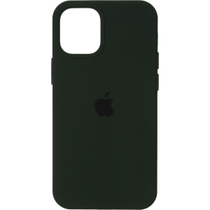 Панель ArmorStandart SilIcone Case для Apple iPhone 12 Pro Max Cyprus Green (ARM57610) краща модель в Дніпрі