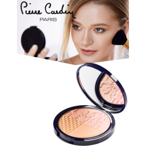 Рум'яна та хайлайтер для обличчя Pierre Cardin Selfie ready powder Портофіно 010 11 мл (8680570441131) краща модель в Дніпрі