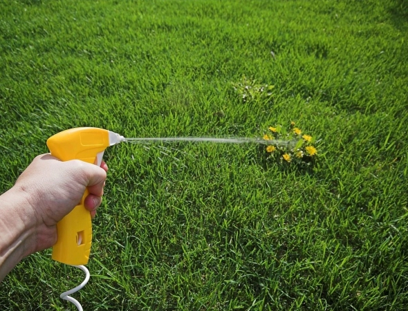 Гербициды сплошного действия для владельцев небольших участков: ручные опрыскиватели, дозировки, лайфхаки