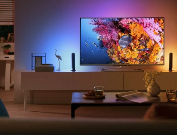 Телевизор 55 дюймов: как выбрать главный экран в доме